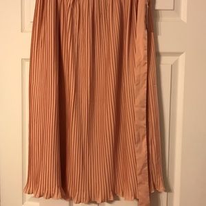 NWT Anthropologie Pleated Chiffon Skirt